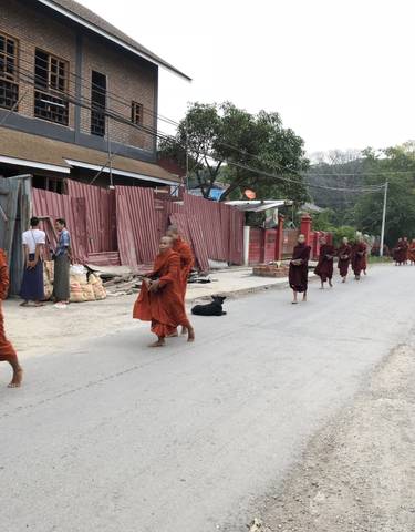 Monks walking in a line down a street with red fences.
