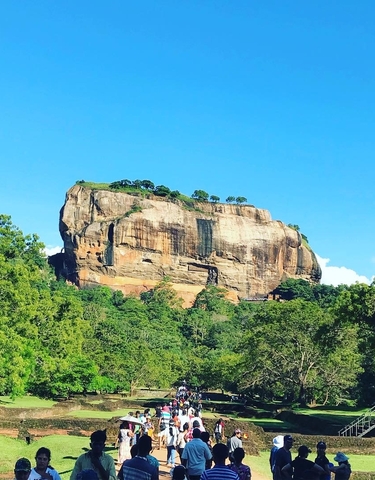Sigiriya Rock surrounded by lush forest under a clear blue sky.