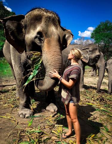 Woman interacting with elephants in a natural setting.