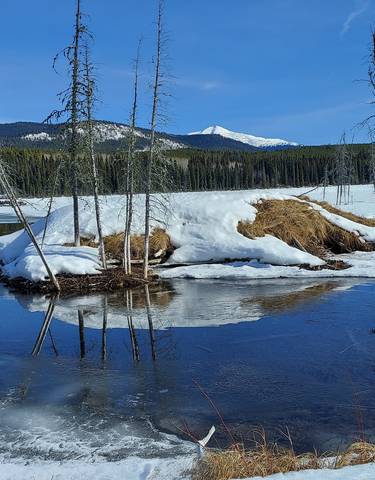 Snow-covered landscape with trees and a river partially frozen.