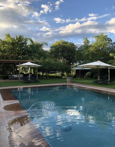 Swimming pool surrounded by trees and lounge chairs.