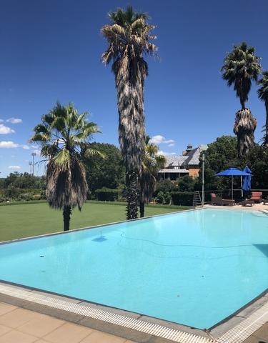 Luxury swimming pool area with palm trees.