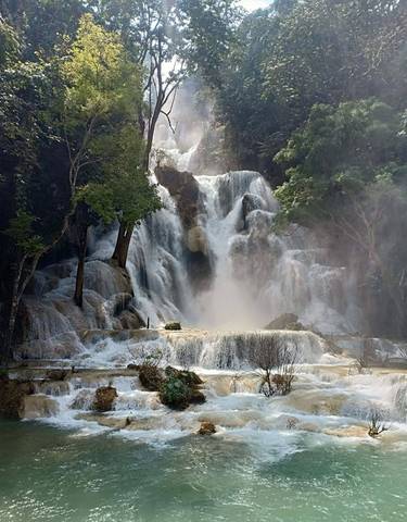 Beautiful waterfall in a forest setting.