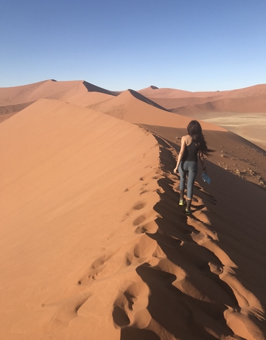 Person walking along the crest of a dune in the desert.