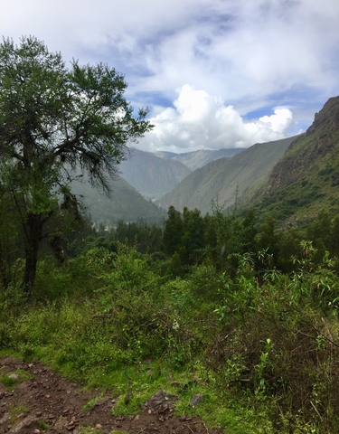 Lush green valley surrounded by trees and distant mountains.