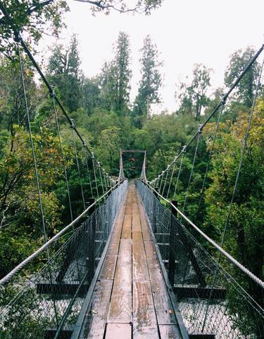 Suspension bridge over a forested area.