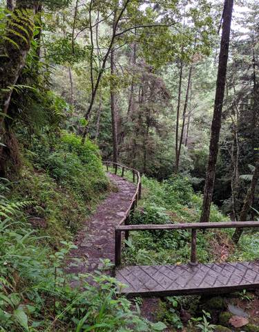 Forested hiking trail with rocks and a wooden railing.