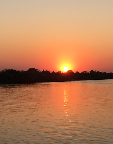 Sunset over a river with silhouette of trees.
