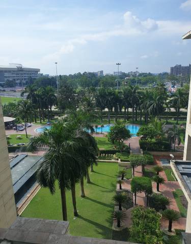 A hotel pool surrounded by palm trees with a view of a city.