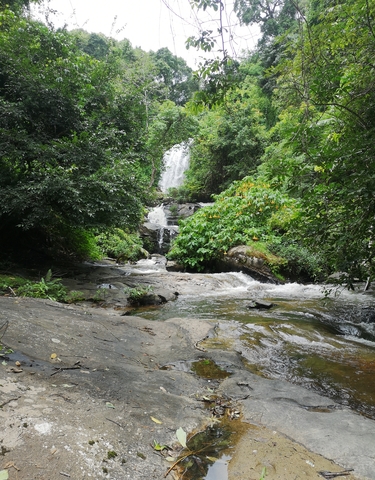 Waterfall surrounded by lush greenery.
