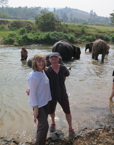 People standing in a river with elephants.