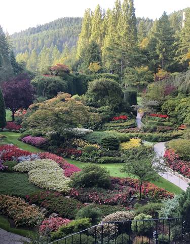 Colorful, manicured garden with winding pathways.