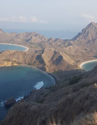 Aerial view of Komodo Island coastline with beaches.