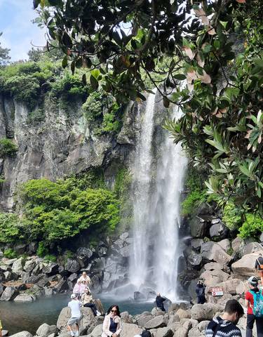 A scenic waterfall surrounded by lush greenery and rocks.
