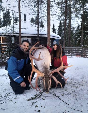 Couple posing with a reindeer in the snow.