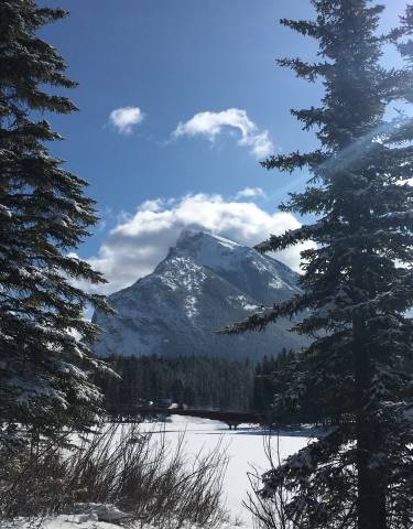 Snow-covered mountain peak seen through trees.