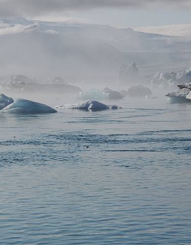 Icebergs floating in misty waters.