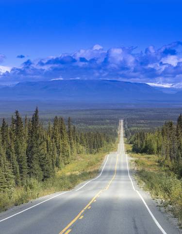 Long road leading through a forest towards mountains.