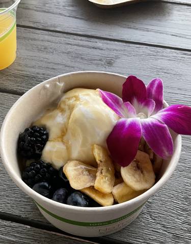 Dessert bowl with ice cream, fruit, and a flower garnish.