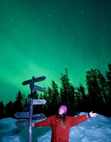 Person under Northern Lights with signposts and trees.