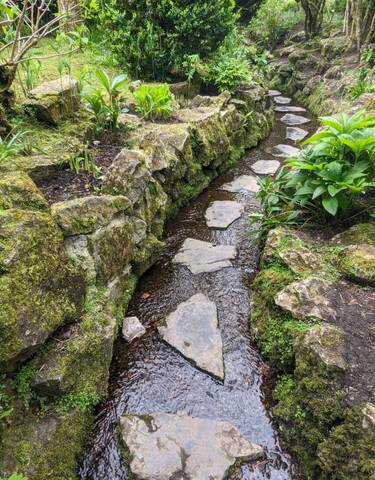 A garden stream with stepping stones surrounded by mossy rocks.