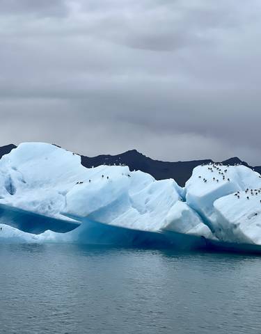 Icebergs floating in a glacial lake surrounded by mountains.