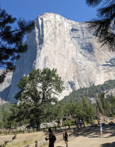 Tall rock face with trees in the foreground.