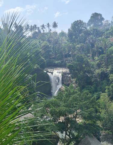 Scenic view of a waterfall surrounded by lush greenery.
