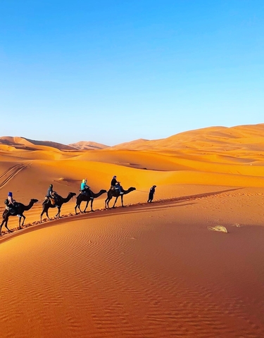 Camel caravan trekking through desert dunes.