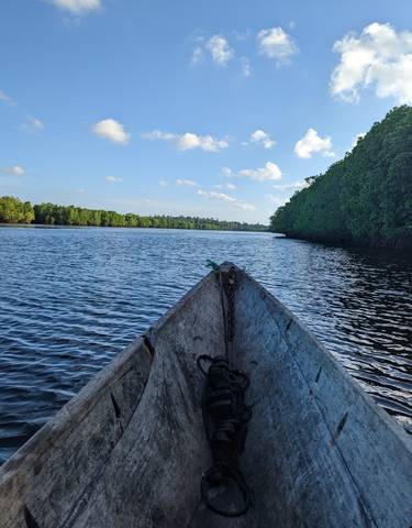 View from a boat on a river with lush green banks under blue sky.