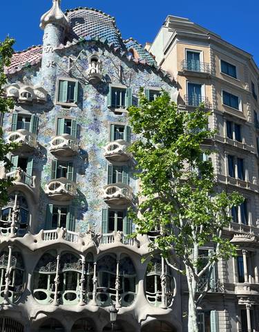 Whimsical facade of a modernist building with tree.
