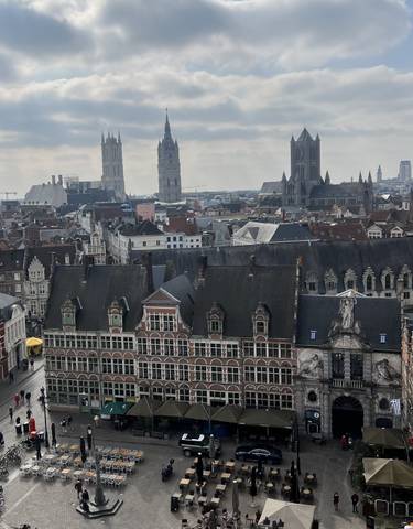 Panoramic city view with historic buildings and church spires.