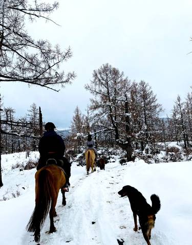 People on horseback riding through snow-covered trees.