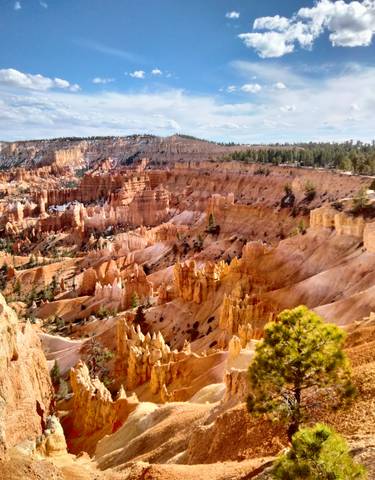 Vast ochre-colored canyon landscape with hoodoo formations.