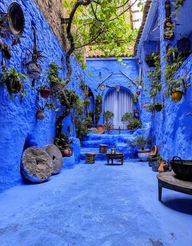 A picturesque blue alley with vibrant plants and decorations in Chefchaouen.