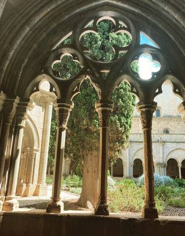 Stone arches with a tree in the background.