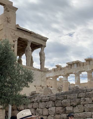 Acropolis structure with olive tree in the foreground.