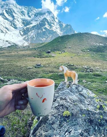 Scenic mountain landscape with snow-capped peaks, a cup, and a toy horse figurine.