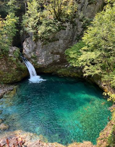 Clear blue water pool surrounded by rocks and trees.