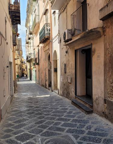 Narrow cobblestone street lined with old buildings.