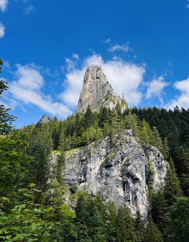 Towering mountain peak with lush forest.