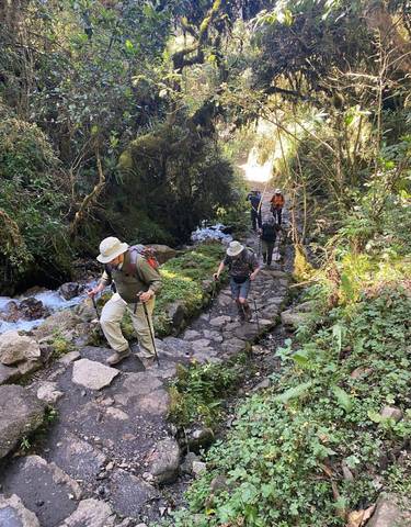 Hikers trekking along a stone path in a forest.