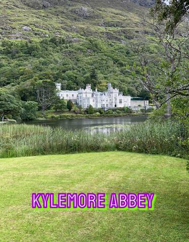 Scenic castle by a lake with lush greenery.