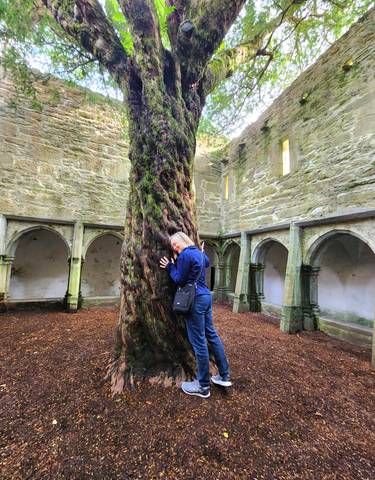 Woman hugging a large tree inside old stone ruins.