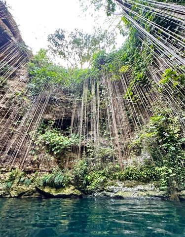 Cave entrance with vines and natural rock formations.