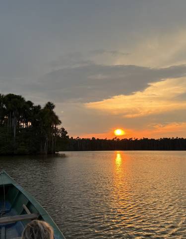 Scenic sunset over a calm river with silhouetted trees.