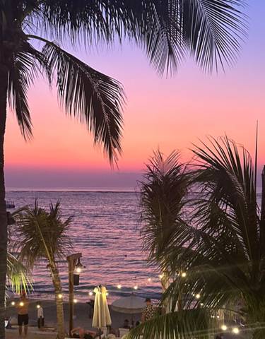 A vibrant sunset with palm trees by the sea.