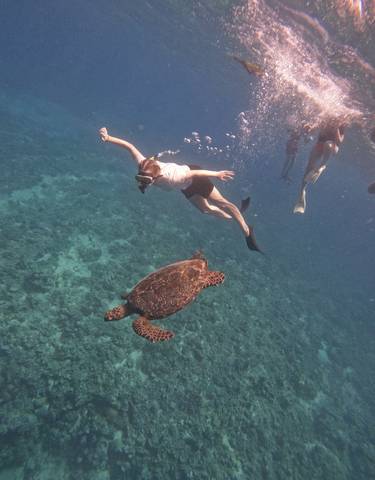 Person snorkeling underwater with a sea turtle.
