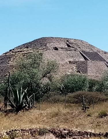 Ancient pyramid structure surrounded by vegetation.