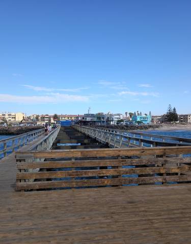 A wooden pier leading to the ocean with people walking on it and a town in the background.
